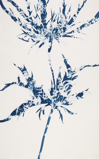 Shades of Blue